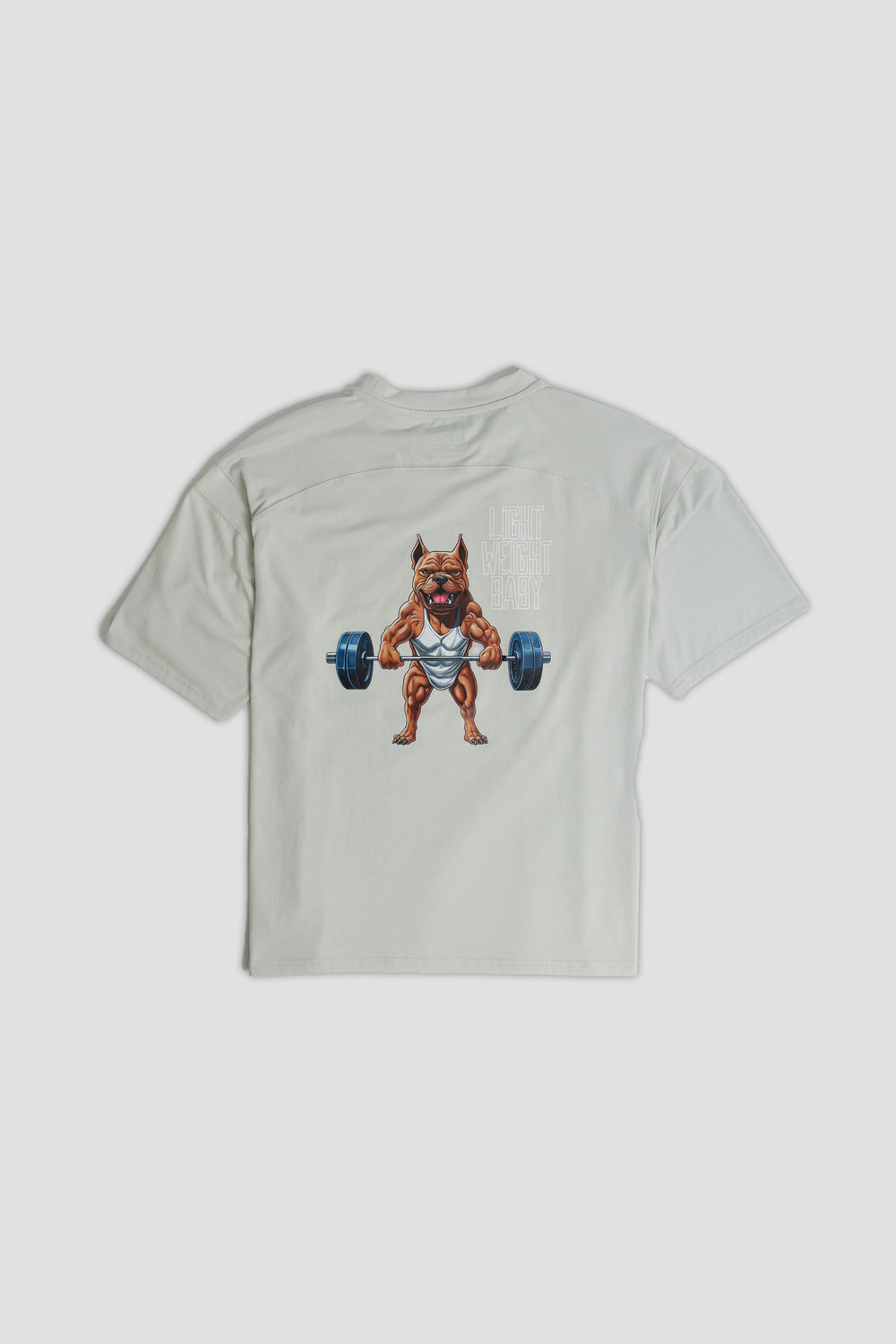 Graphic Oversized Tee - Light Weight Baby - Glacier Grey
